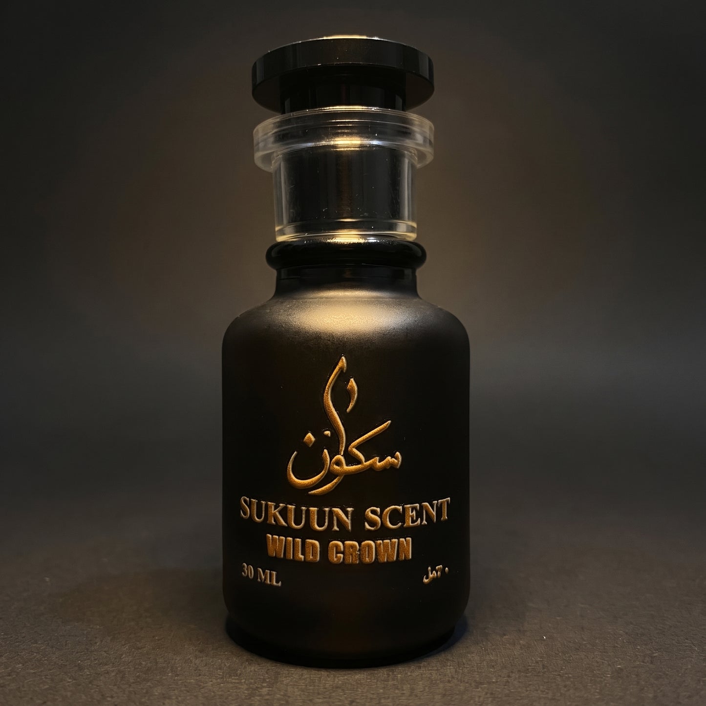 Wild Crown Eau De Parfum by Dior Sauvage